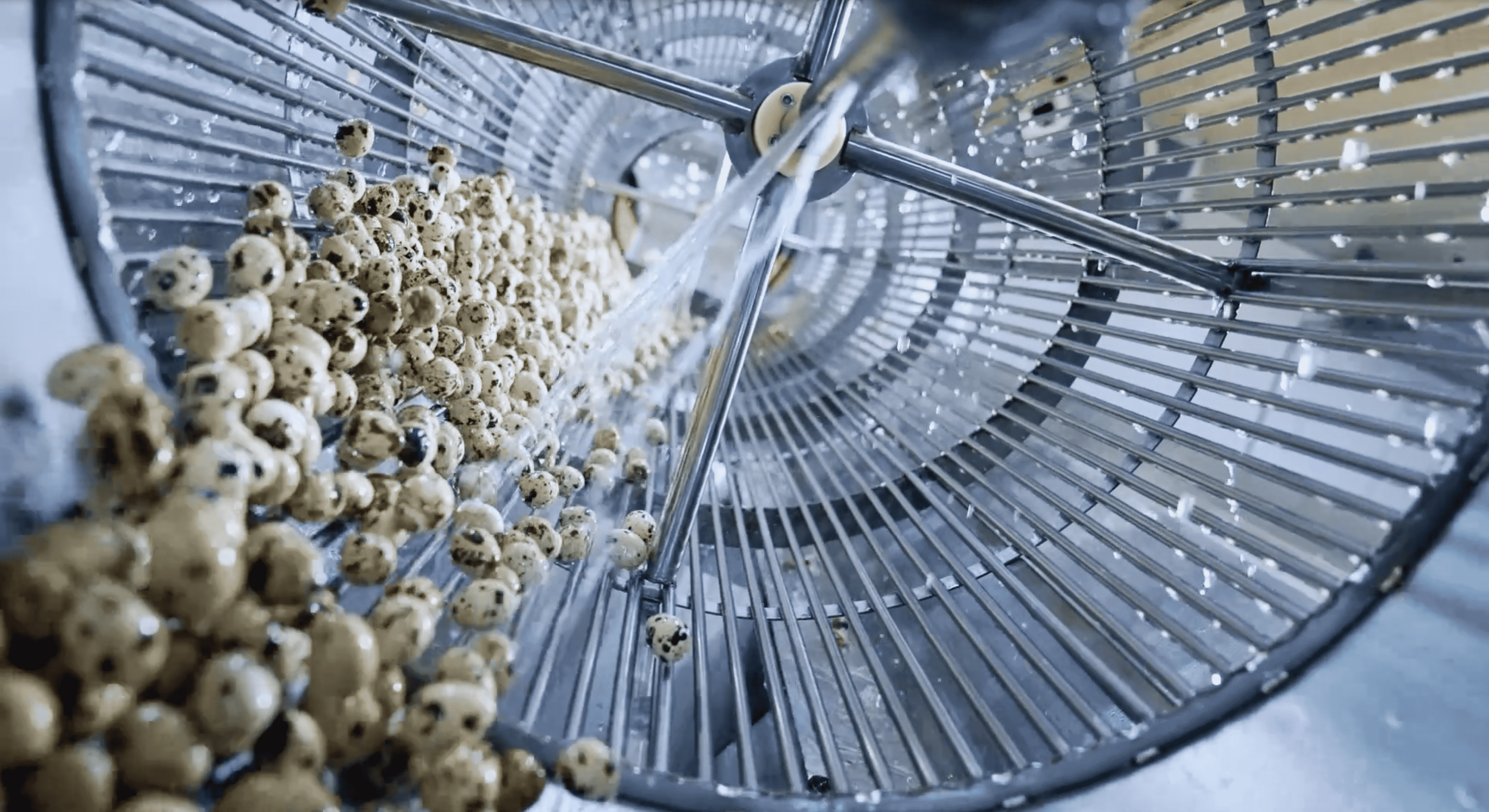 新春致辭 | 砥礪前行 一路生花 新春致辭 | 砥礪前行 一路生花