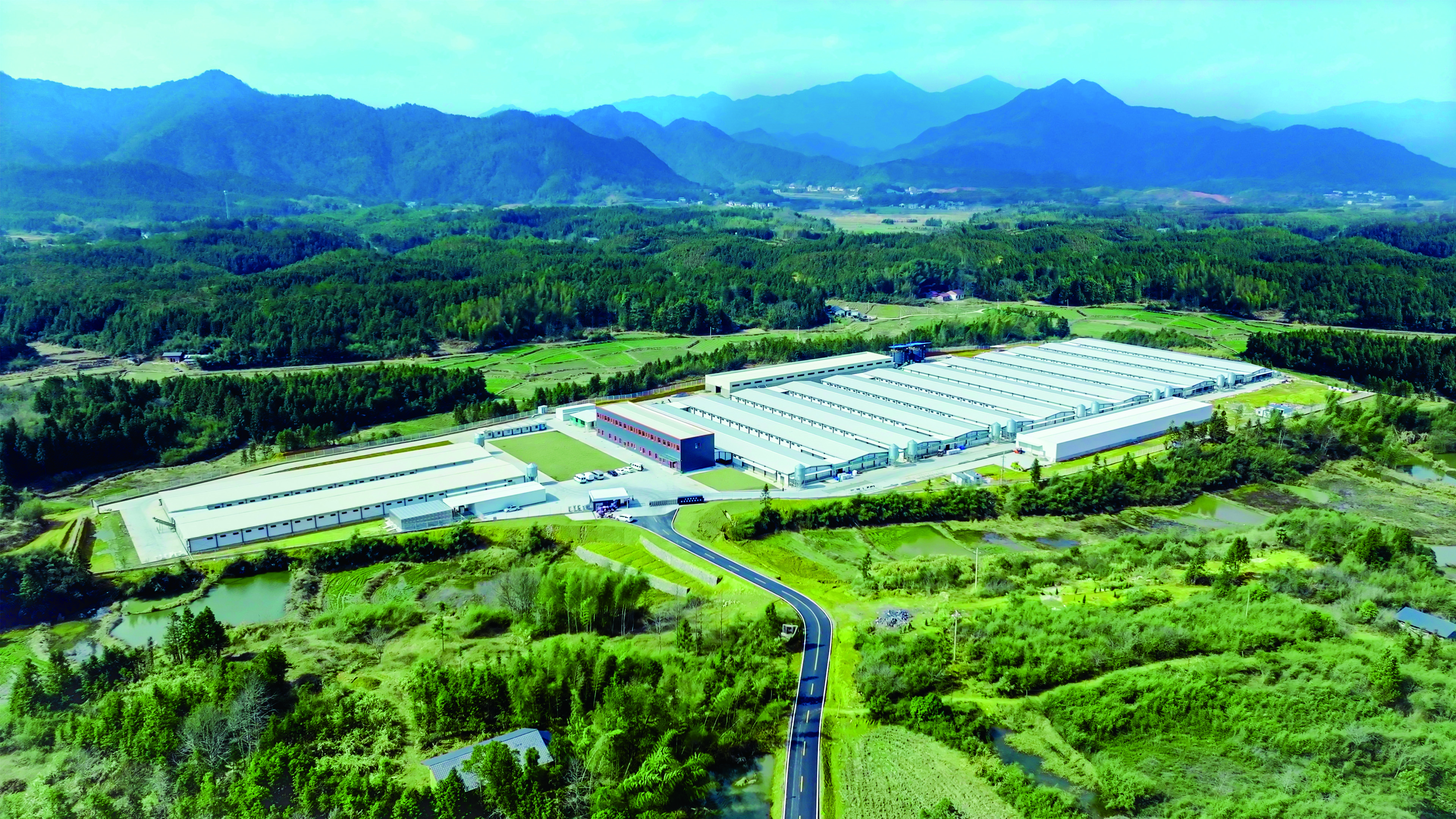 新春家書(shū)｜根深則葉茂，心定則路遠(yuǎn)